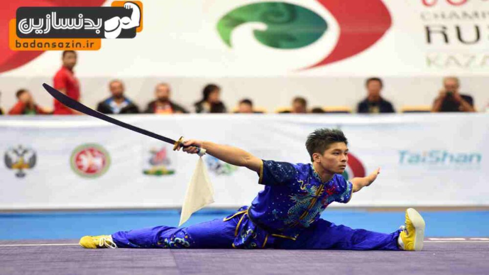 لیست باشگاه های ووشو در کارگر جنوبی تهران