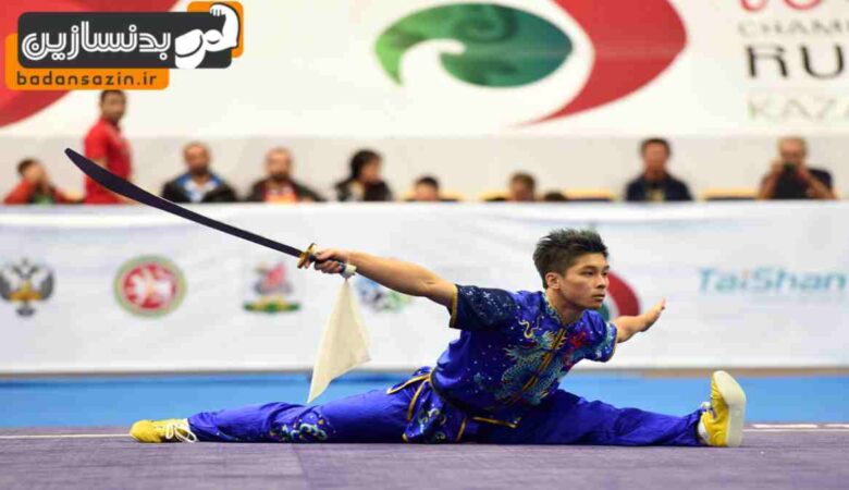 لیست باشگاه های ووشو در کارگر جنوبی تهران