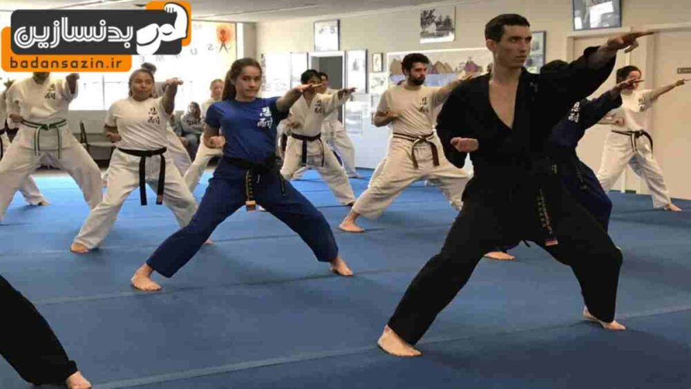 لیست باشگاه های رزمی در داوودیه تهران