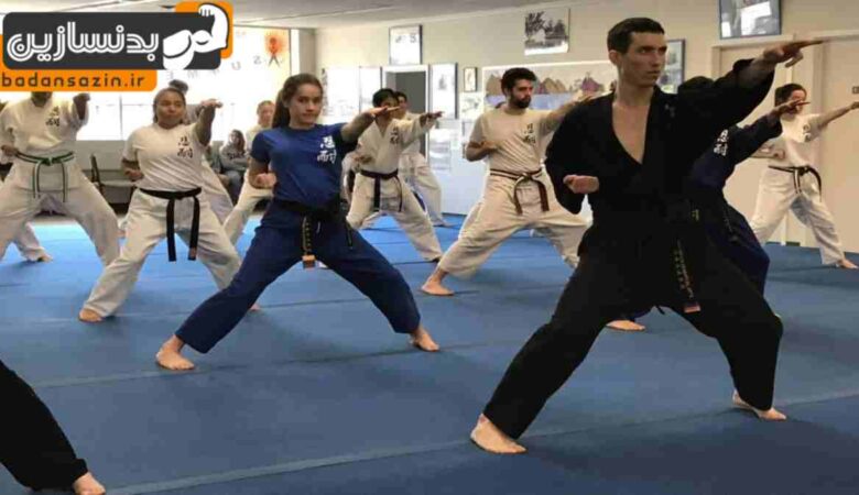 لیست باشگاه های رزمی در داوودیه تهران