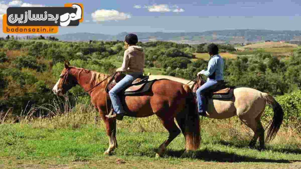 لیست باشگاه های سوارکاری کوی بیمه تهران